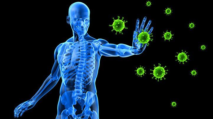 Immune System (What it actually is to the&nbsp;body)
